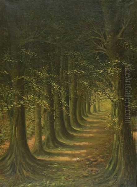 Baumallee Im Wald Oil Painting by Albert Droesbeke