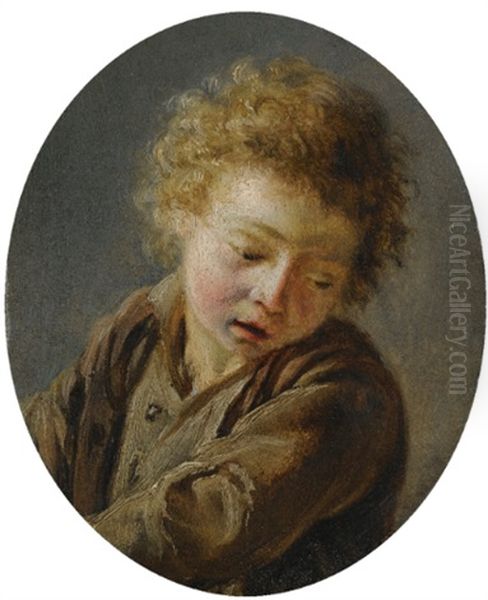 Young Boy (study) Oil Painting by Martin Droelling