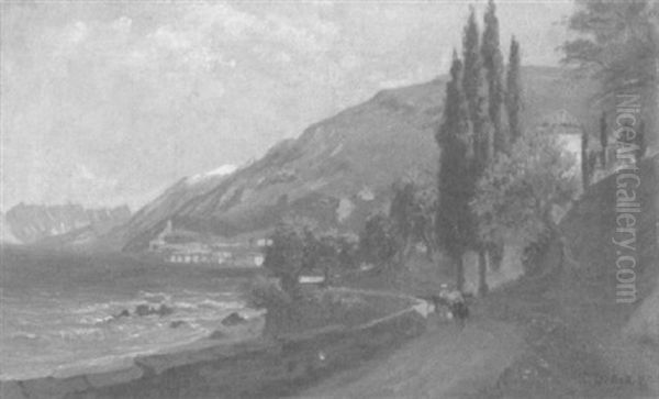 Parthie Bei Malcesine Am Gardasee Oil Painting by Hermann Druck