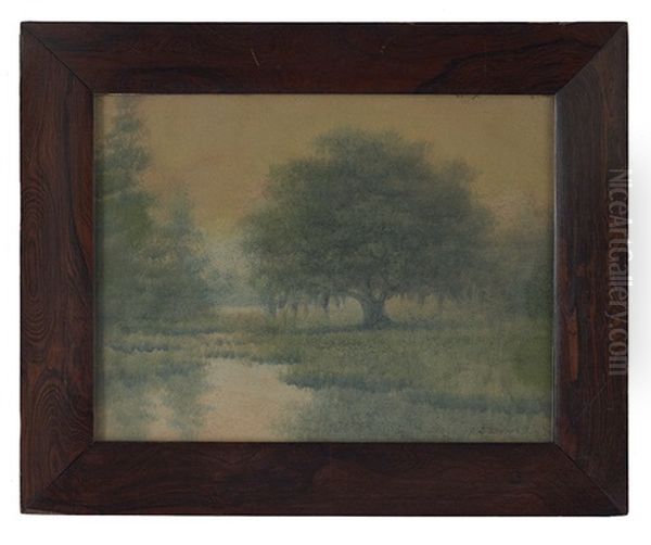 Live Oak Tree, Louisiana Bayou Oil Painting by Alexander John Drysdale