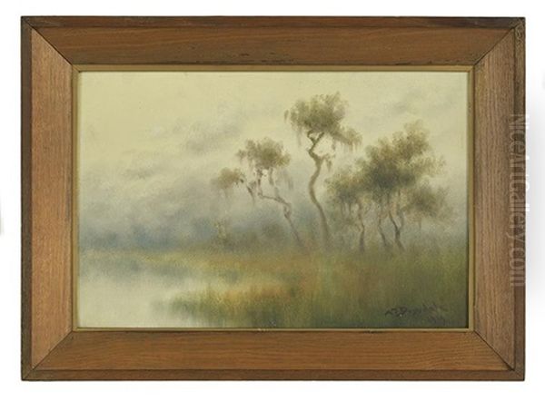 Early Morning In A Louisiana Swamp Oil Painting by Alexander John Drysdale