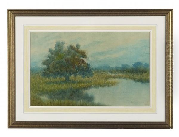 Live Oak On The Bayou Oil Painting by Alexander John Drysdale