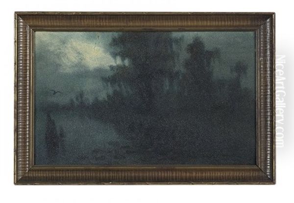 Early Morning In A Louisiana Swamp Oil Painting by Alexander John Drysdale