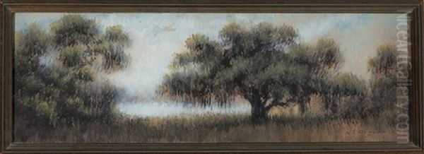 Live Oak Tree, Louisiana Bayou by Alexander John Drysdale