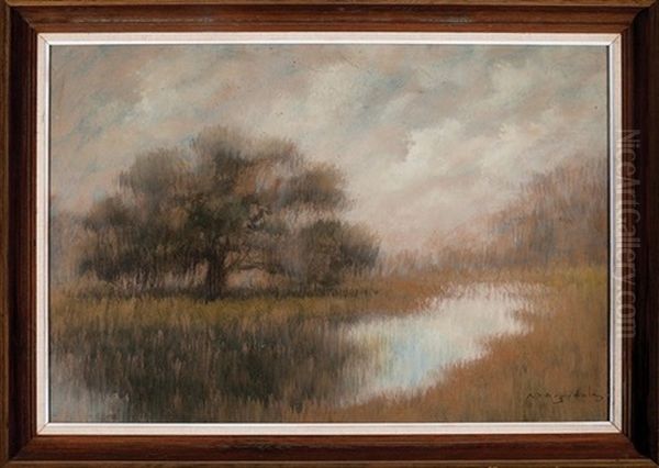 Lone Live Oak Tree At A Bend In The Bayou by Alexander John Drysdale