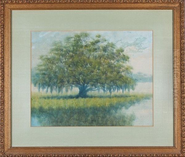 Lone Live Oak Oil Painting by Alexander John Drysdale