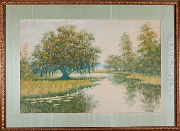 Spanish Moss Draped Live Oak Tree Along The Water by Alexander John Drysdale