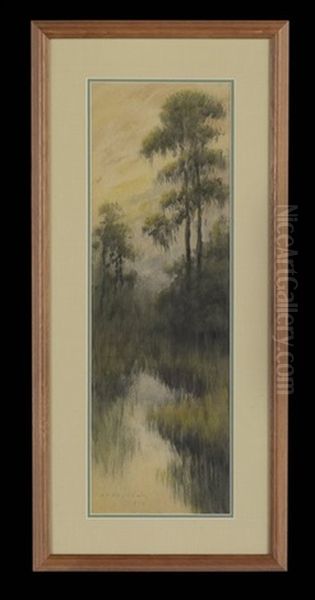 Bayou Cypress Oil Painting by Alexander John Drysdale