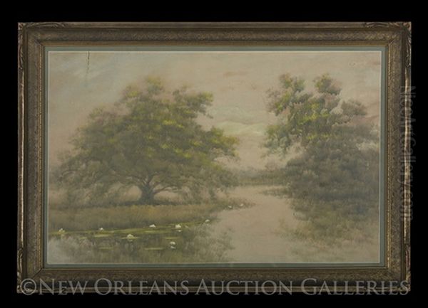 Water Lilies And Trees Along The Louisiana Bayou Oil Painting by Alexander John Drysdale