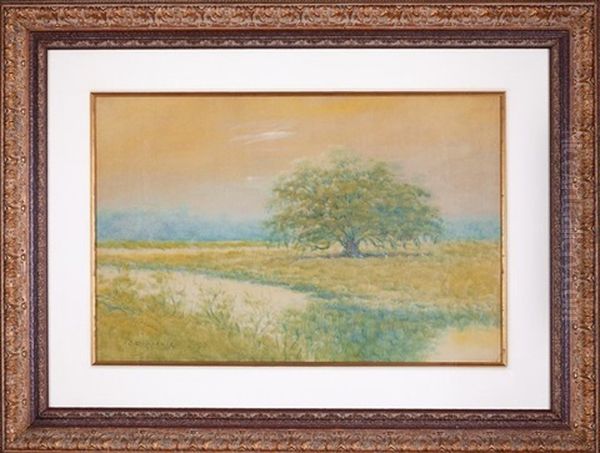 Live Oak In The Louisiana Bayou Oil Painting by Alexander John Drysdale