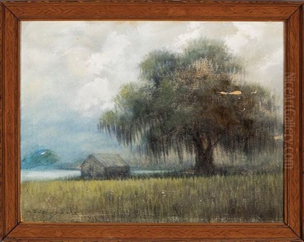 Bayou Landscape With Live Oak And Cabin Oil Painting by Alexander John Drysdale