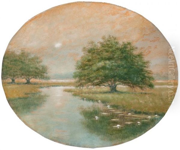 Live Oak Trees In The Louisiana Bayou Oil Painting by Alexander John Drysdale