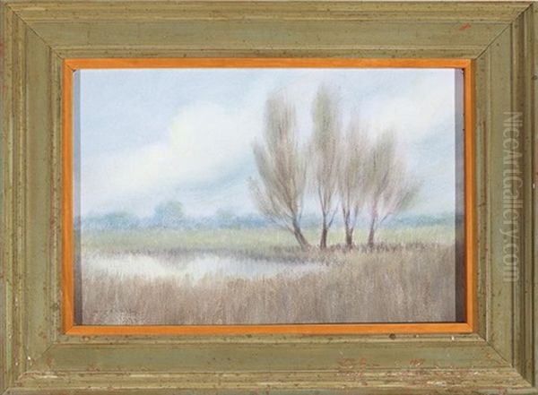 Willow Trees In The Marshes - Morning Oil Painting by Alexander John Drysdale