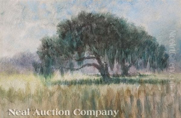 Live Oak Oil Painting by Alexander John Drysdale