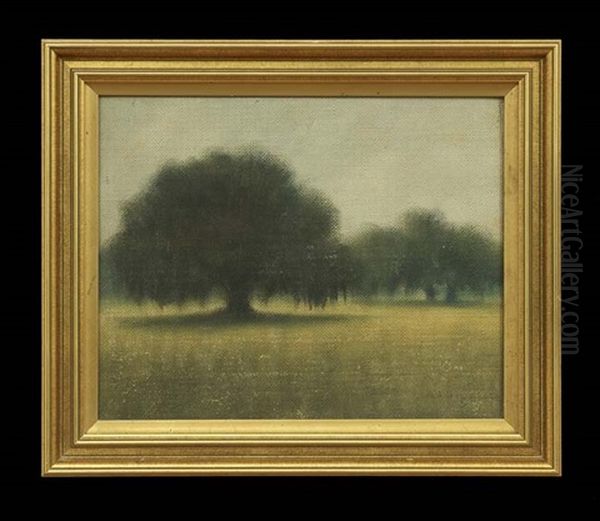 Louisiana Landscape With Moss-draped Oak Trees Oil Painting by Alexander John Drysdale