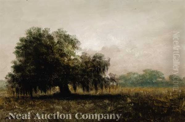 Early Morning In Lafourche Country Oil Painting by Alexander John Drysdale