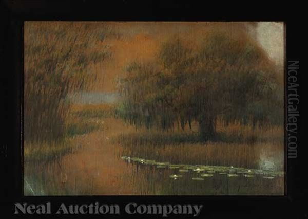 Louisiana Live Oak Oil Painting by Alexander John Drysdale