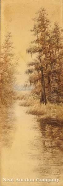 Cypress Trees, Louisiana Bayou by Alexander John Drysdale