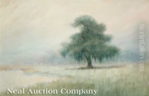 Misty Morning On The Bayou Oil Painting by Alexander John Drysdale