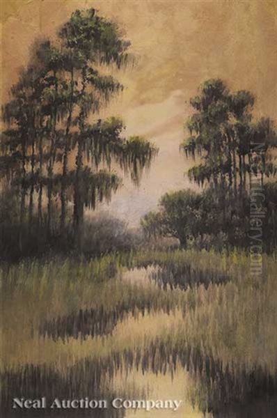 Cypress Trees In The Louisiana Bayou Oil Painting by Alexander John Drysdale