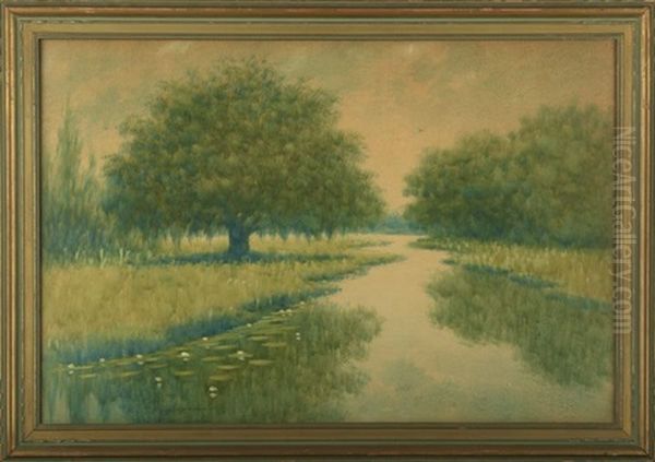 Oak And Cypress Trees Along The Louisiana Bayou Oil Painting by Alexander John Drysdale