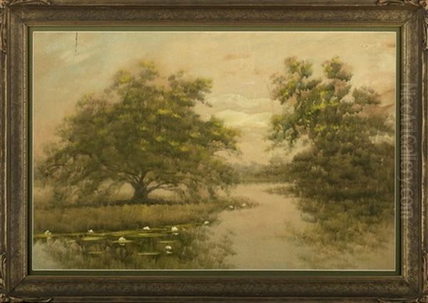 Water Lilies And Trees Along The Louisiana Bayou Oil Painting by Alexander John Drysdale