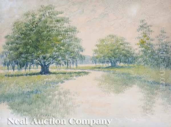 Louisiana Oak Oil Painting by Alexander John Drysdale