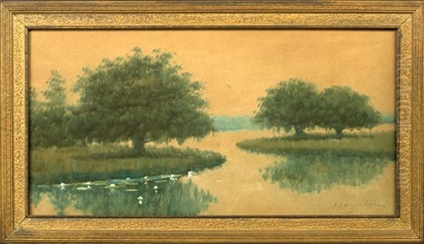 Louisiana Bayou With Oak Trees And Water Lilies Oil Painting by Alexander John Drysdale