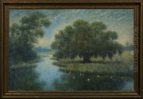 Live Oak And Lily Blossoms On The Louisiana Bayou Oil Painting by Alexander John Drysdale