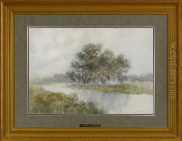 Louisiana Live Oak On The Bayou Oil Painting by Alexander John Drysdale