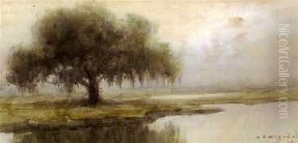 Lousiana Bayou Oil Painting by Alexander John Drysdale