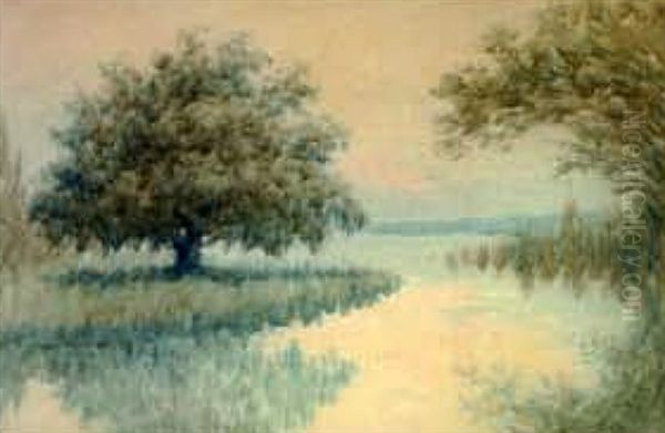 Louisiana Bayou Scene With Live Oak And Cypress Trees Oil Painting by Alexander John Drysdale