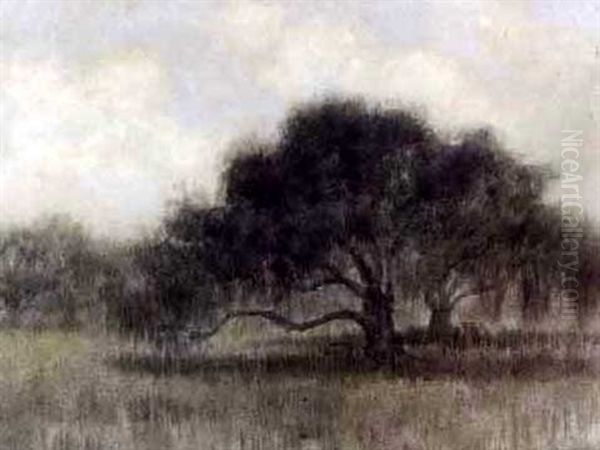 Bunyan Tree Oil Painting by Alexander John Drysdale