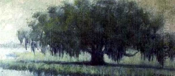 Louisiana Live Oak Oil Painting by Alexander John Drysdale