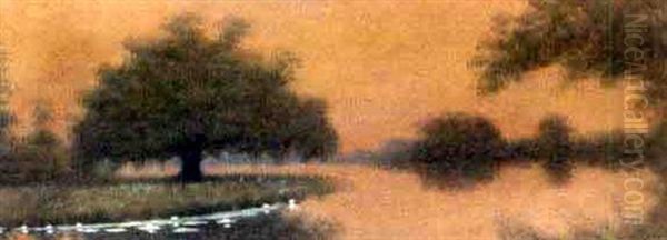 Sunset On The Louisiana Bayou Oil Painting by Alexander John Drysdale