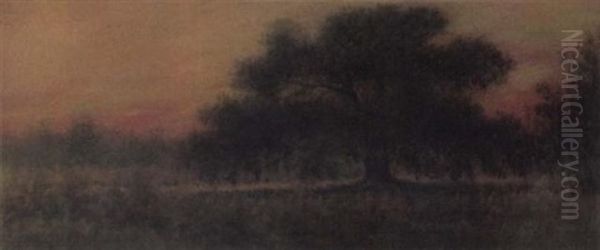 Louisiana Bayou At Dawn Oil Painting by Alexander John Drysdale