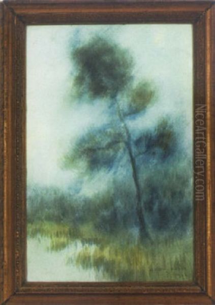 Cypress In The Bayou Oil Painting by Alexander John Drysdale