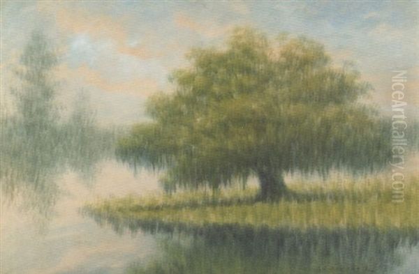 Oak Tree On Point Of Land, City Park, New Orleans Oil Painting by Alexander John Drysdale