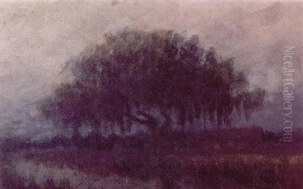 Louisiana Live Oak Oil Painting by Alexander John Drysdale