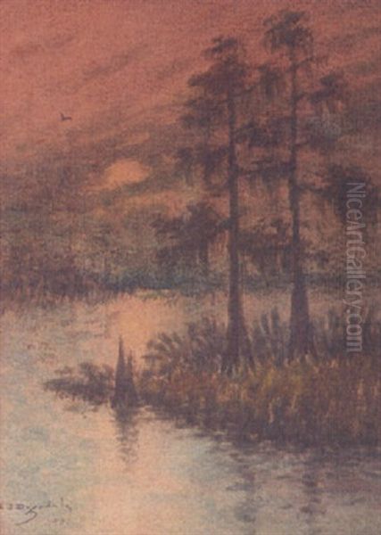 Cypress At Sunset Oil Painting by Alexander John Drysdale