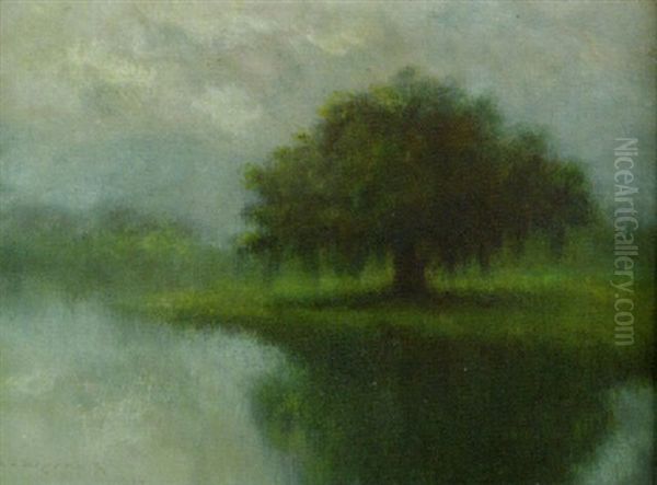 Louisiana Live Oak Along The Bayou Oil Painting by Alexander John Drysdale