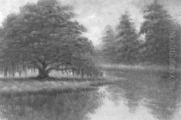 Reflection With Louisiana Live Oak Oil Painting by Alexander John Drysdale