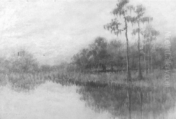 Bayou Scene With Cypress Trees by Alexander John Drysdale