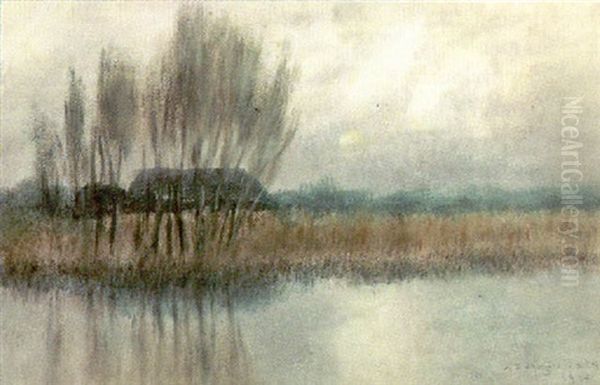 Hazy Bayou Scene Oil Painting by Alexander John Drysdale