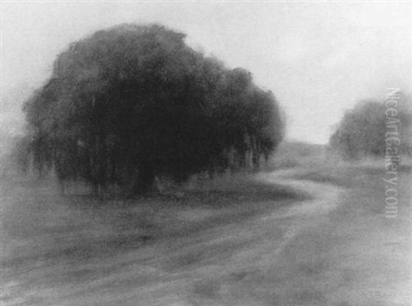 Oaks At Bayou Edge Oil Painting by Alexander John Drysdale