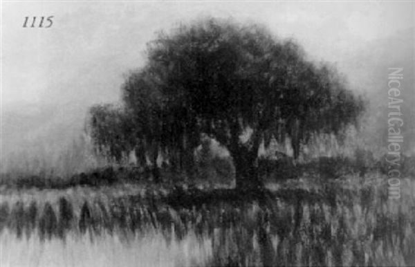 Lone Oak Oil Painting by Alexander John Drysdale