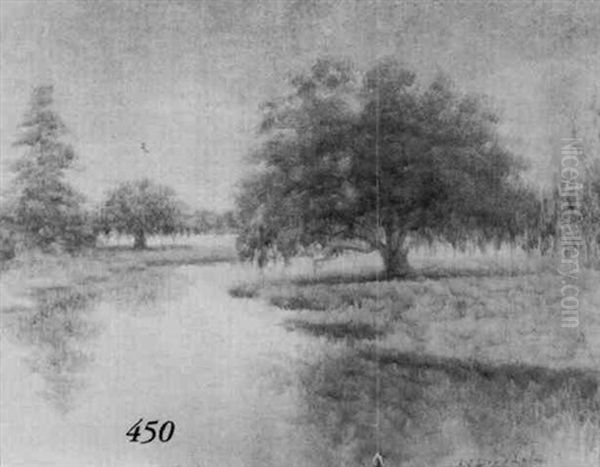 Louisiana Bayou With Oaks And Trees Reflecting In The Golden Water Oil Painting by Alexander John Drysdale