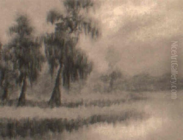 Cypress In The Mist Oil Painting by Alexander John Drysdale