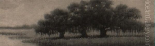 Grove Of Live Oaks At Bayou's Edge Oil Painting by Alexander John Drysdale