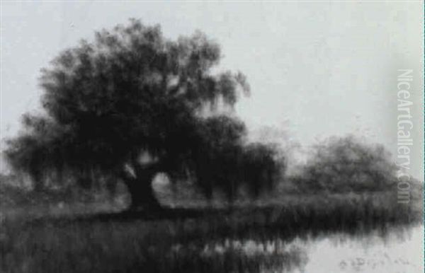 Live Oak At Bayou's Edge Oil Painting by Alexander John Drysdale